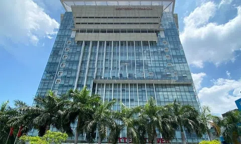 Công ty ở Tp.HCM biến hàng nghìn người thành tỷ phú báo lãi cao nhất lịch sử hơn 2.000 tỷ, điều gì đã xảy ra?