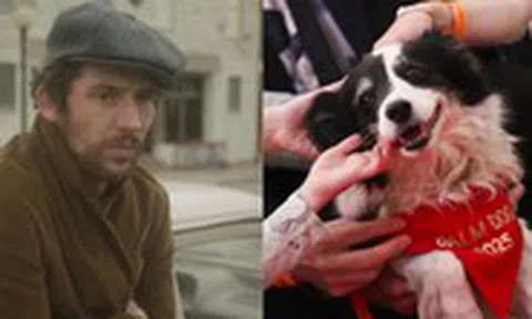 Cannes bước qua ngày cuối cùng với hai phim xuất sắc và giải Palm Dog danh giá