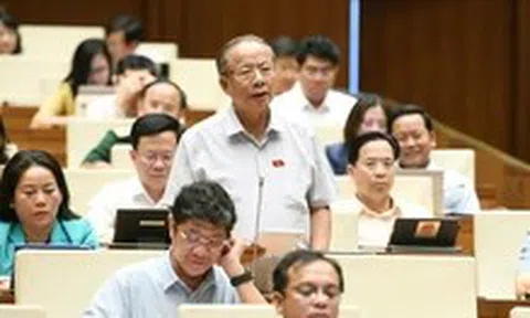 Giảm thuế VAT: Đại biểu nói 'lúc thu rất dễ, lúc hoàn rất khó', đề nghị quy trách nhiệm