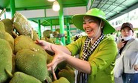 Lễ hội trái cây Nam Bộ quy tụ hàng trăm loại trái cây đặc sắc, hút khách ngay ngày 1-6
