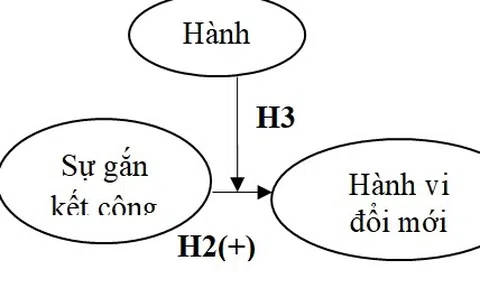 Khung lý thuyết về mối quan hệ giữa hệ thống quản trị hiệu suất cao và hành vi làm việc sáng tạo: Vai trò trung gian của sự gắn kết với công việc và hành vi chủ động