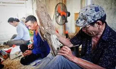 Tri thức khai thác, chế biến trầm hương và Lễ hội Yến sào Khánh Hòa là di sản văn hóa phi vật thể