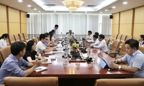 BAF gặp khó với kế hoạch xây 'chung cư' 6 tầng nuôi heo đầu tiên tại Việt Nam: Bộ Nông nghiệp nói gì?