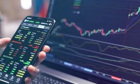 Nghi án chủ một doanh nghiệp lúa gạo bị lừa đảo 420 tỷ đồng vì đầu tư chứng khoán qua mạng