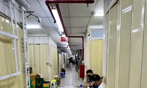 Vòi bạch tuộc vẫn luồn lách