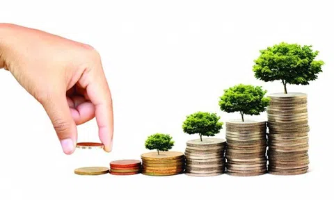 Thiết kế lại vùng đệm ngân sách: Gợi ý bảo hiểm tài khóa cho Việt Nam trong tình hình mới