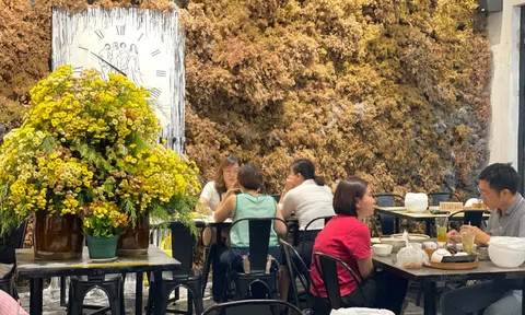 Nhà hàng áp lực vì Michelin Selected