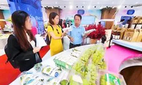 Ninh Thuận mang đặc sản đến TP.HCM 'chào hàng', tìm kiếm đối tác