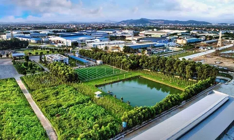 Nhận thức, chiến lược và cào cản của các doanh nghiệp cản xuất Việt Nam trong Kỷ nguyên Thương mại Xanh