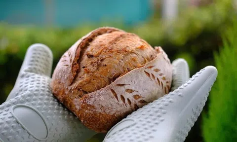 Tranh cãi khái niệm bánh sourdough chuẩn