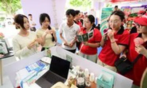 Đến Lễ hội không tiền mặt để thưởng thức cà phê yến, nghe tư vấn sử dụng điện
