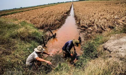 Nguyên nhân và sự ảnh hưởng của xâm nhập mặn ở Đồng bằng sông Cửu Long