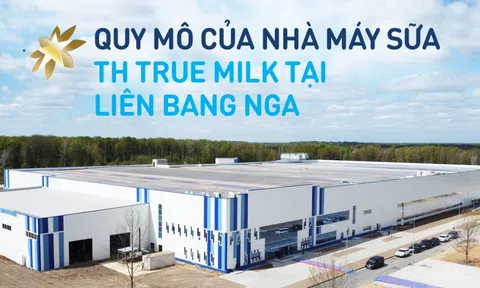 Những con số làm nên quy mô của nhà máy sữa hàng đầu tại Nga của TH true MILK
