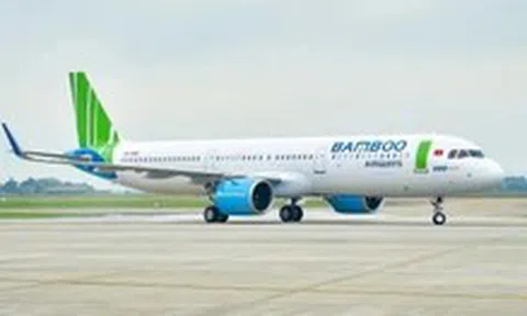 Chủ tịch Bamboo Airways xin từ nhiệm