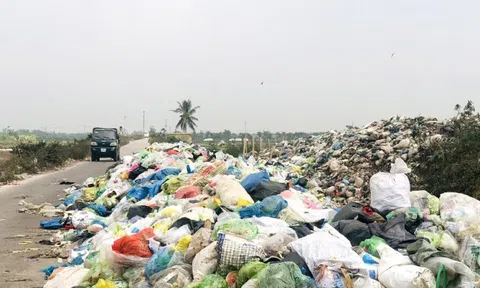 Đề xuất chính sách thuế tiêu thụ đặc biệt với túi ni lông và sản phẩm nhựa dùng 1 lần