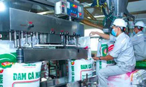 'Ông lớn' chiếm gần 11% thị trường phân bón dự đoán giá sẽ tiếp tục tăng