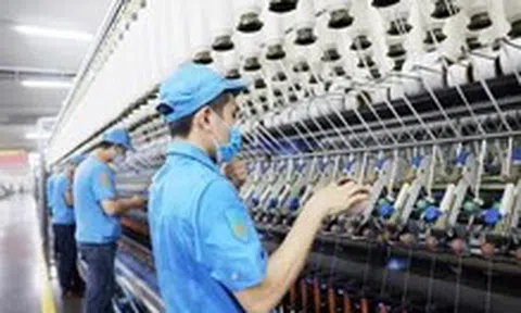 Giảm thuế: 'Liều thuốc' tiếp sức doanh nghiệp