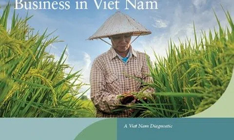 Thúc đẩy sự tham gia của phụ nữ trong chuyển đổi xanh