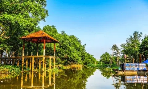 Phát triển du lịch Cồn Sơn - Cần Thơ theo hướng du lịch sáng tạo: Thực trạng và giải pháp