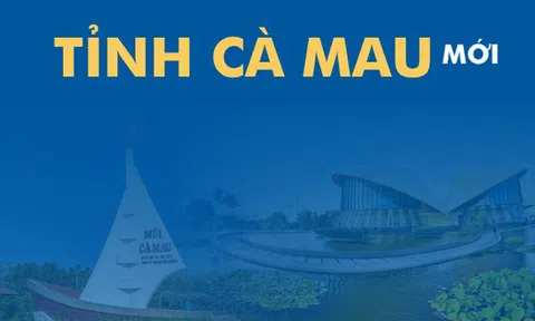 Toàn cảnh xã, phường, diện tích của tỉnh Cà Mau mới