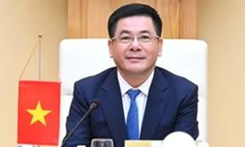 Đàm phán thuế trực tuyến: Mỹ cân nhắc chính sách thuế đối ứng phù hợp với điều kiện Việt Nam
