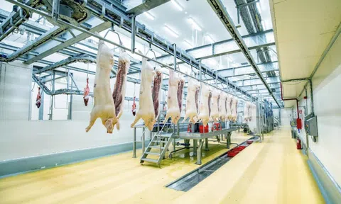 So găng doanh nghiệp nội và ngoại trong ngành chăn nuôi