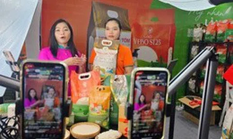 Bán hàng trên sàn online nộp thuế thế nào từ ngày 1-7?