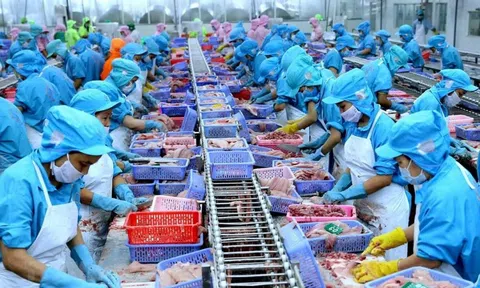 Một số giải pháp nhằm đẩy mạnh xuất khẩu thủy sản Việt Nam trong thời gian tới