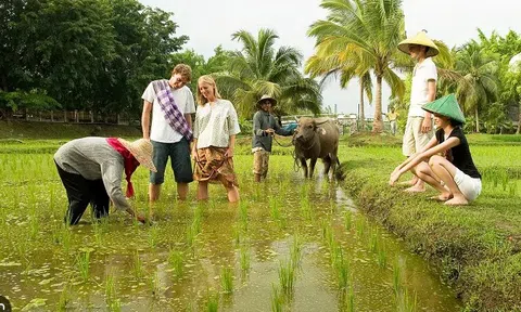 Quản lý nguồn nhân lực xanh trong lĩnh vực du lịch cộng đồng phát triển bền vững