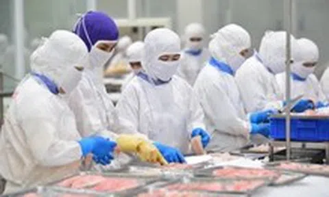 Thủy sản Việt tăng tốc ấn tượng, VASEP kiến nghị Thủ tướng có biện pháp bảo vệ