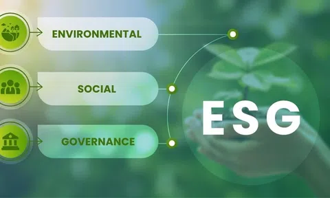 Tác động của ứng dụng AI và thực hành ESG đến năng lực cạnh tranh bền vững toàn cầu tại các quốc gia đang phát triển
