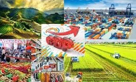 Thực trạng tăng trưởng kinh tế Việt Nam trong bối cảnh cải cách hành chính cấp tỉnh