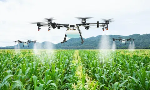 Nông nghiệp thông minh thích ứng biến đổi khí hậu tại Thái Lan và bài học cho Việt Nam