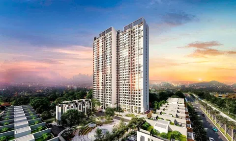 Chưa từng có: Doanh nghiệp lãi tăng 6.740 lần, chi cổ tức gấp 2,6 lần vốn điều lệ
