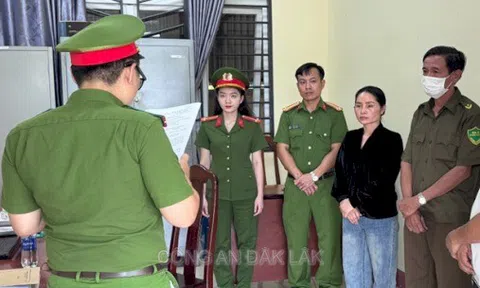 Bắt tạm giam nữ Giám đốc Nguyễn Thị Hợi