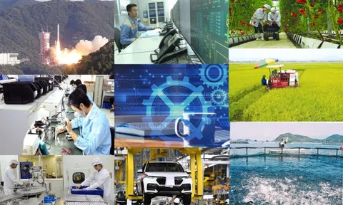 Phát triển kinh tế tư nhân trong giai đoạn mới - Phát huy vai trò của chuyển đổi số trong doanh nghiệp