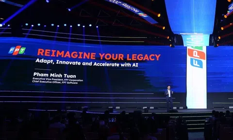 AI ngành dọc lên ngôi: Cơ hội cho doanh nghiệp công nghệ Việt