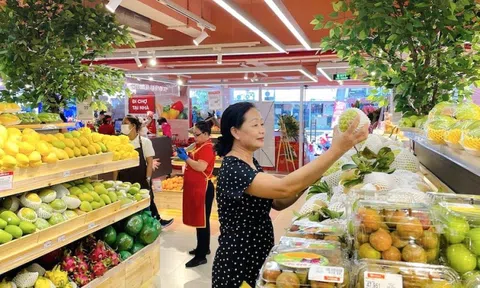 Doanh nghiệp bán lẻ nội địa trước làn sóng FDI: Cơ hội và thách thức