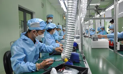 Thúc đẩy phát triển doanh nghiệp ngoài nhà nước tại thành phố Đà Nẵng: Thực trạng và giải pháp