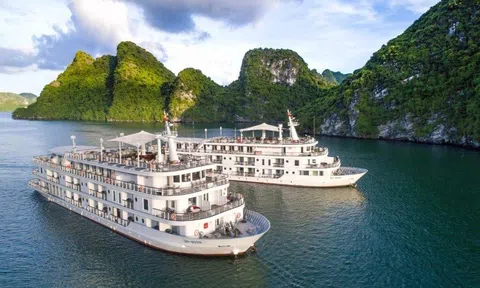 Nhân chứng trên du thuyền 5 sao Hạ Long kể việc khách Đài Loan tử vong