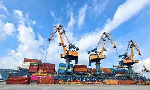 Hải An (HAH) chốt trả cổ tức 40%, sản lượng khai thác quý 2 tăng trên 20%