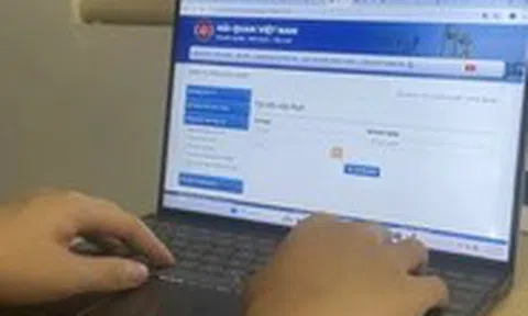 Tạm dừng tiếp nhận khai hải quan trong 7 giờ