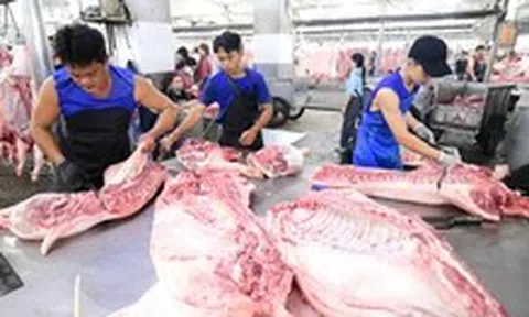 Vì sao thịt heo bẩn vẫn lọt ra thị trường?