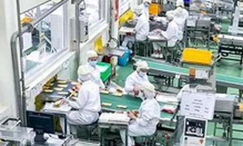 Giờ G điểm, doanh nghiệp cùng chạy đua