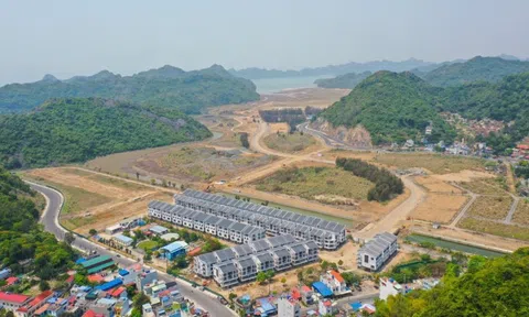 Vinaconex muốn thoái sạch vốn, doanh nghiệp làm dự án Cát Bà Amatina kéo dài hơn 2 thập kỷ đang thế chấp ngân hàng những gì?
