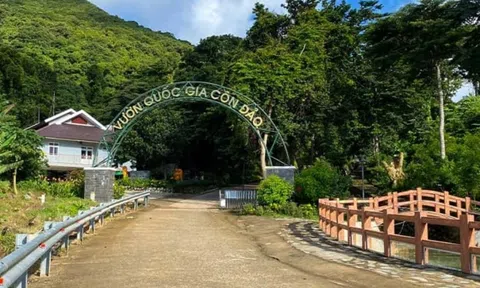 Giải pháp tăng nguồn thu hoạt động sự nghiệp tại Ban Quản lý Vườn quốc gia Côn Đảo