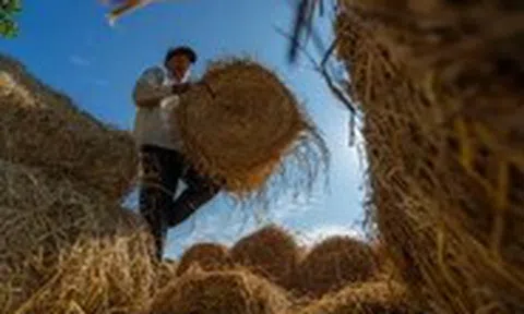 Xem những bức ảnh về xứ dừa Bến Tre tuyệt đẹp của chàng trai Nguyễn Khánh Vũ Khoa