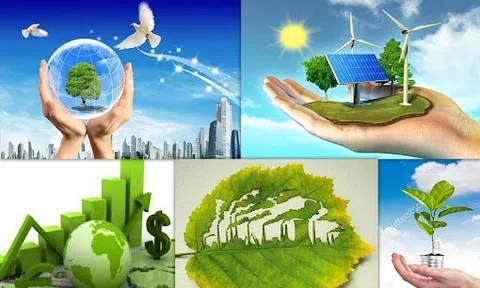Vai trò điều tiết của đổi mới xanh trong mối quan hệ giữa phân cấp tài khóa và phát triển bền vững