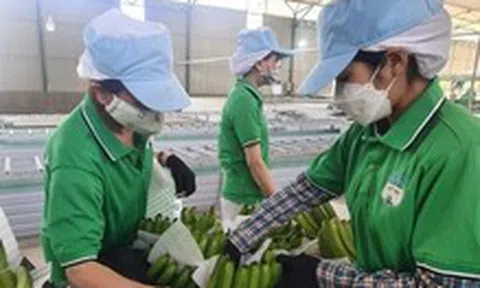 Hoàng Anh Gia Lai chậm trả lãi trái phiếu, sắp có hơn 1.000 tỉ thu nhập bất thường