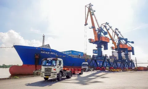 Công ty sở hữu đội tàu container lớn nhất Việt Nam mở tuyến tới Cảng Liên Vân – Trung Quốc